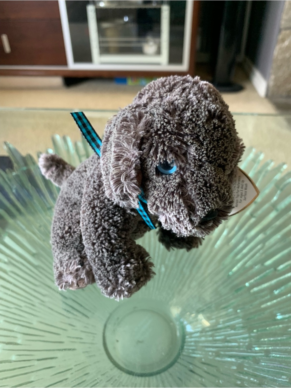 🧸 2001 TY Beanie Babies FRISBEE